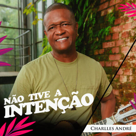 CAPA - NÃO TIVE A INTENÇÃO copy